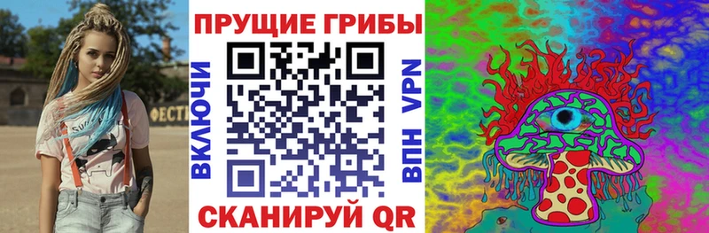 Псилоцибиновые грибы Cubensis  что такое   Крым 