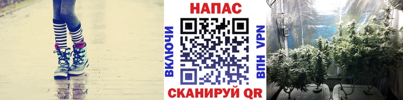 Конопля THC 21%  Крым 